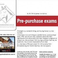 Pre-purchase Examinations