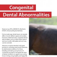 Congenital Dental Abnormalities